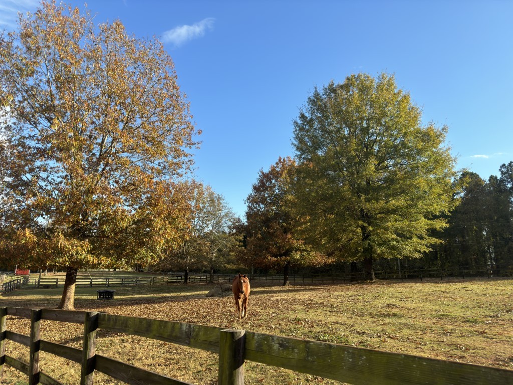 Lot 97 Armory Court, Ninety Six, South Carolina image 16