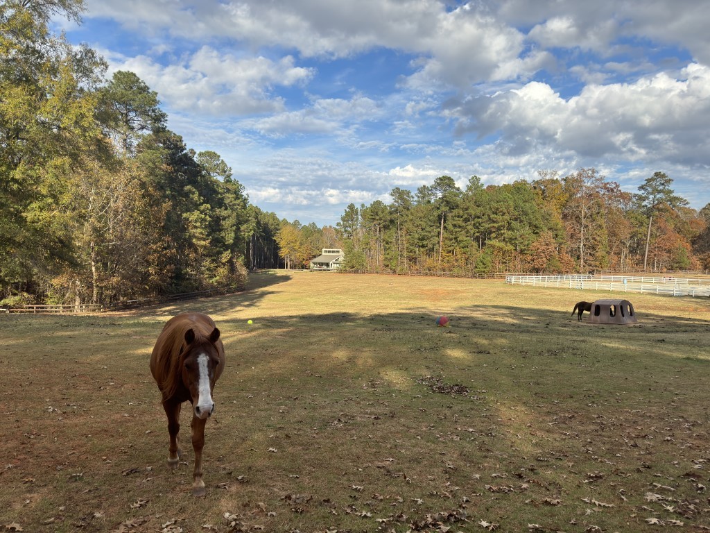 Lot 97 Armory Court, Ninety Six, South Carolina image 14