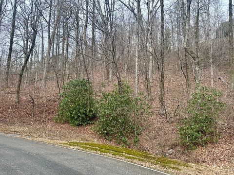 Vacant Land For Sale - 00 Indian Pipe Trail<br/> Landrum, SC 29356