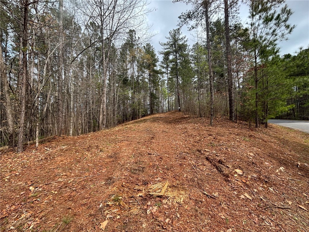 323 Long Cove Trail, Salem, South Carolina image 1
