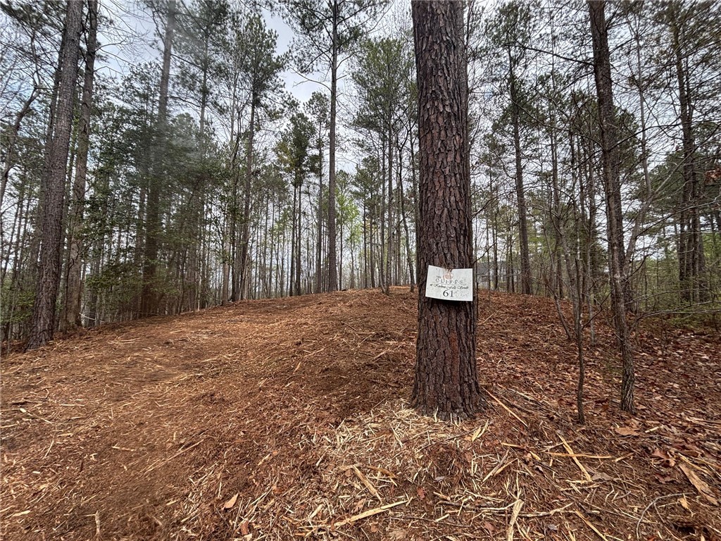 323 Long Cove Trail, Salem, South Carolina image 2