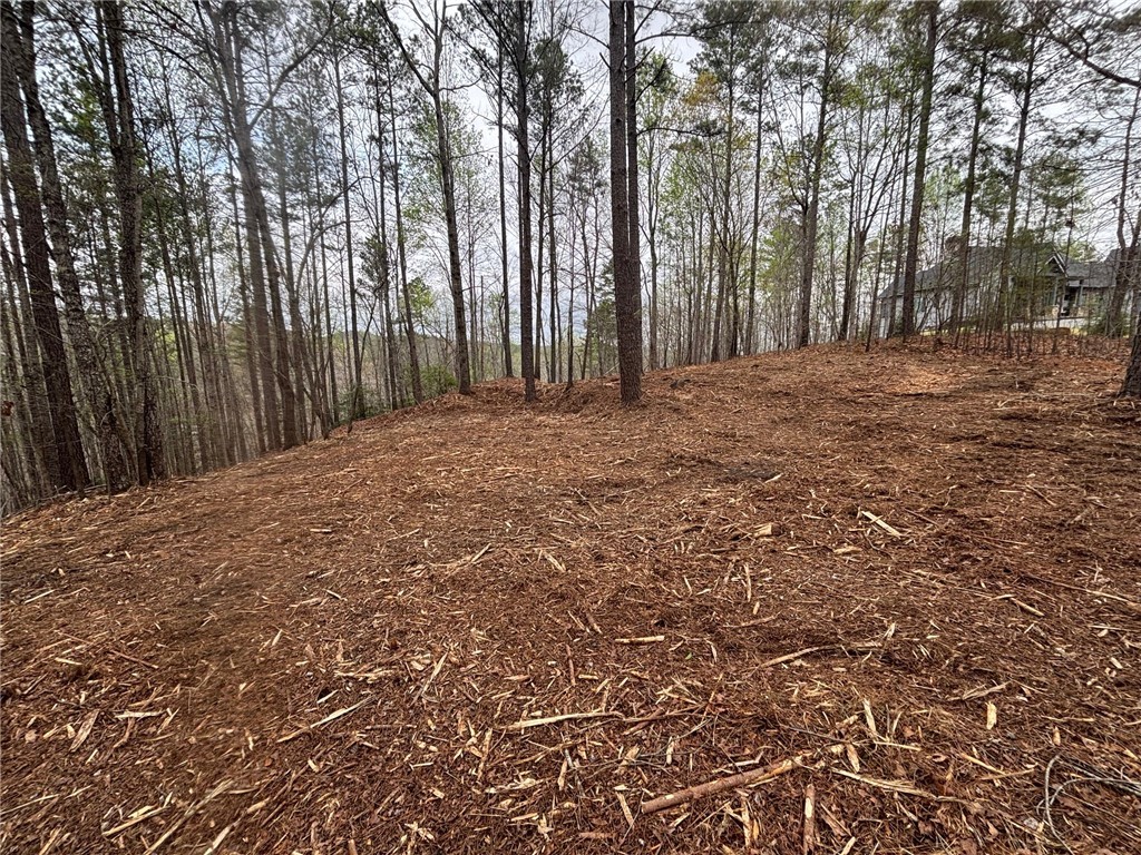 323 Long Cove Trail, Salem, South Carolina image 4