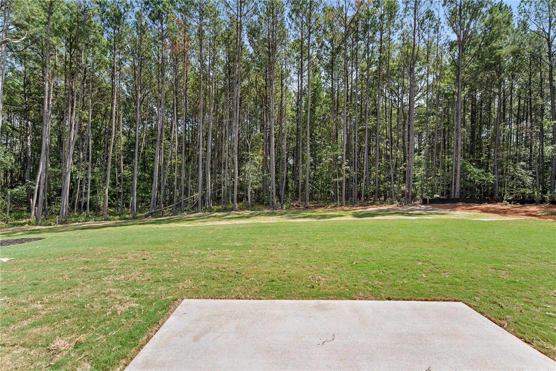 117 Big Woods Circle, Belton, South Carolina image 17