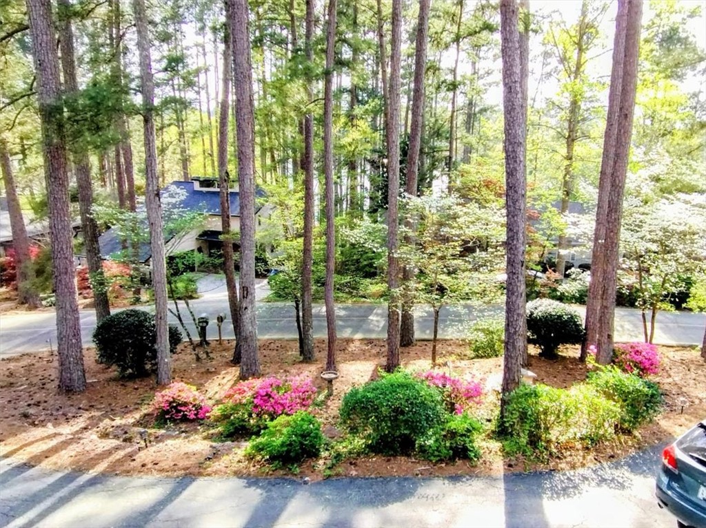 545 Long Reach Drive, Salem, South Carolina image 5