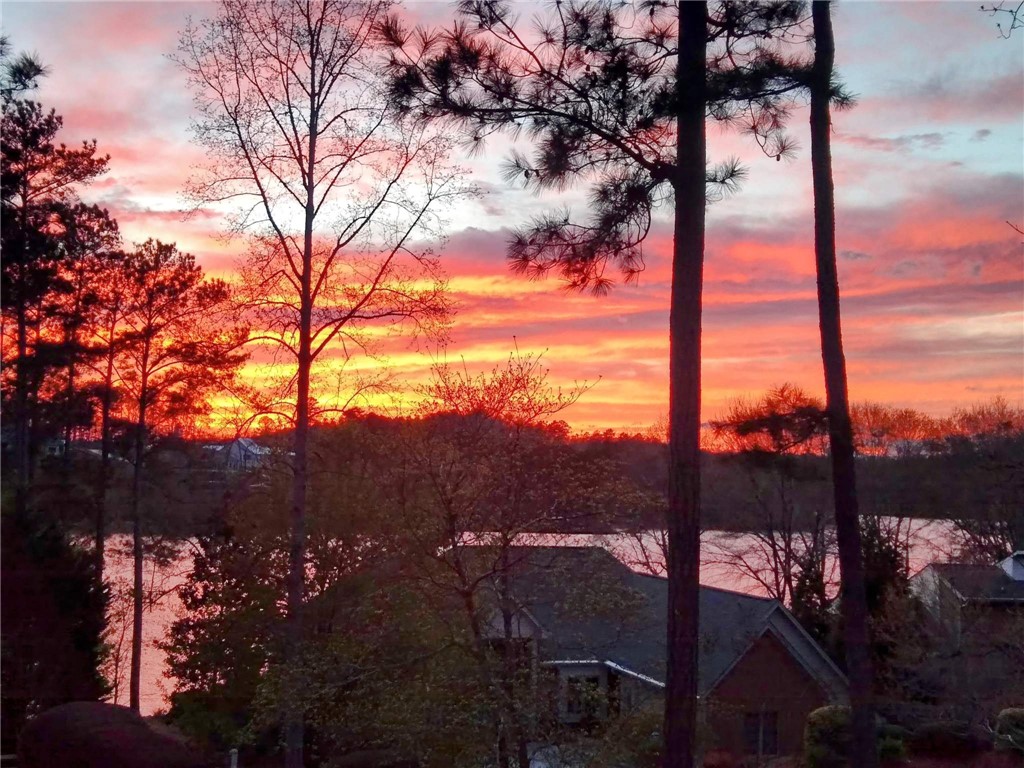 545 Long Reach Drive, Salem, South Carolina image 4