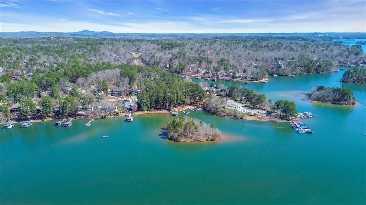 545 Long Reach Drive, Salem, South Carolina image 37