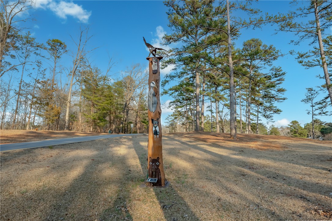200 N Foxglove Road, Westminster, South Carolina image 31