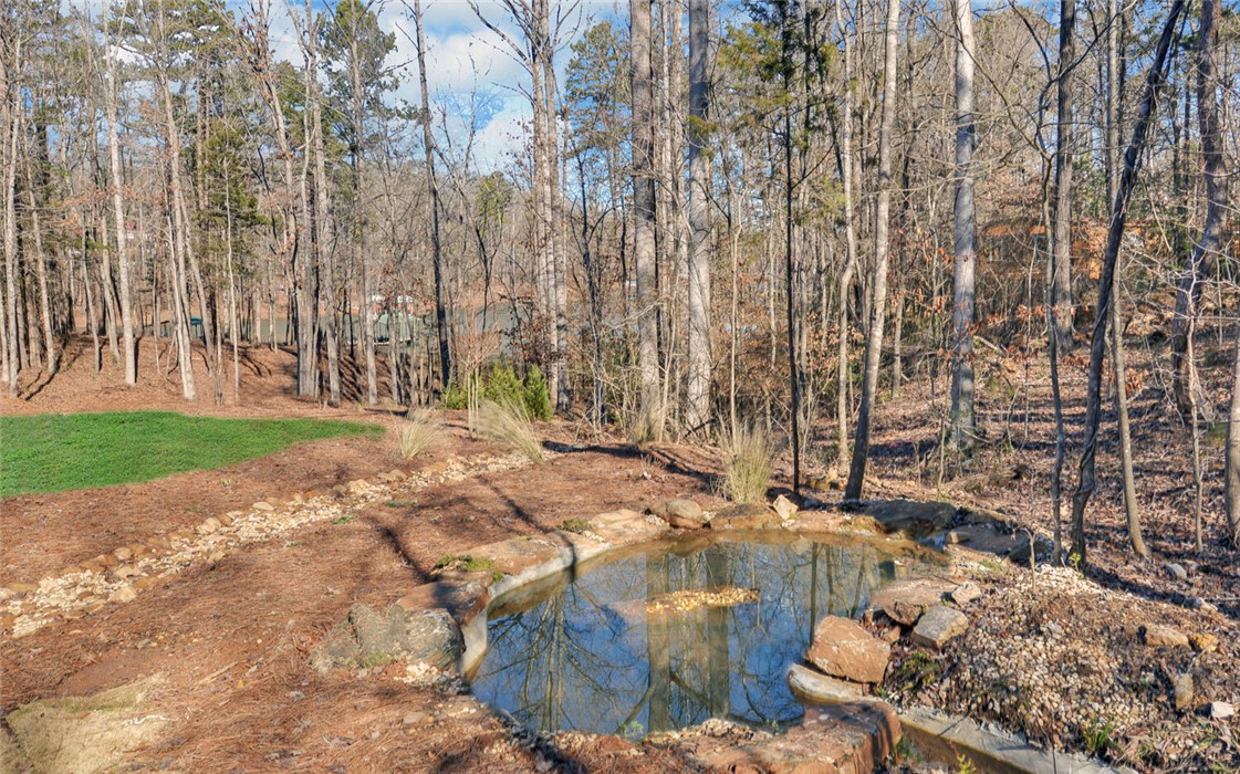 373 Blueberry Lane, Lavonia, Georgia image 43