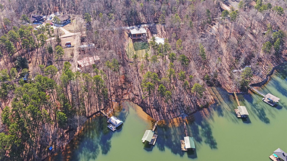 373 Blueberry Lane, Lavonia, Georgia image 48