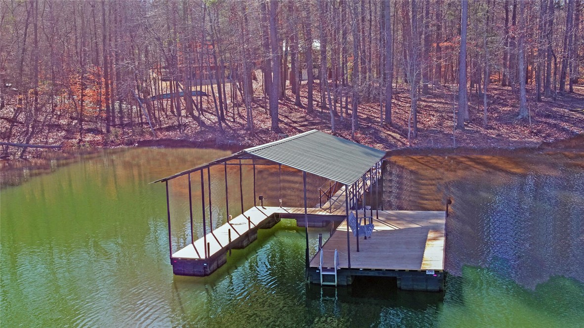 373 Blueberry Lane, Lavonia, Georgia image 49