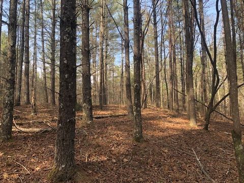 Vacant Land For Sale - 101 Dutchman's Pipe Trail<br/> Sunset, SC 29685