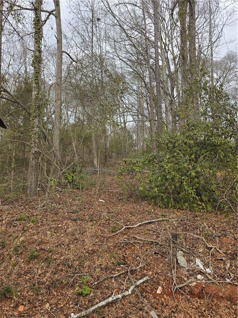 Vacant Land For Sale - Brookmeade Drive<br/> Anderson County, Anderson, SC 29624