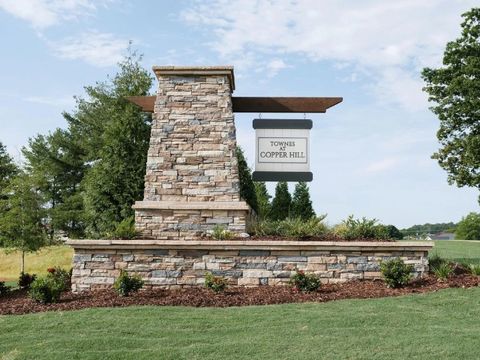 Photo of 116 Brass Tack Drive, Powdersville, SC 29611 (MLS # 20300490)