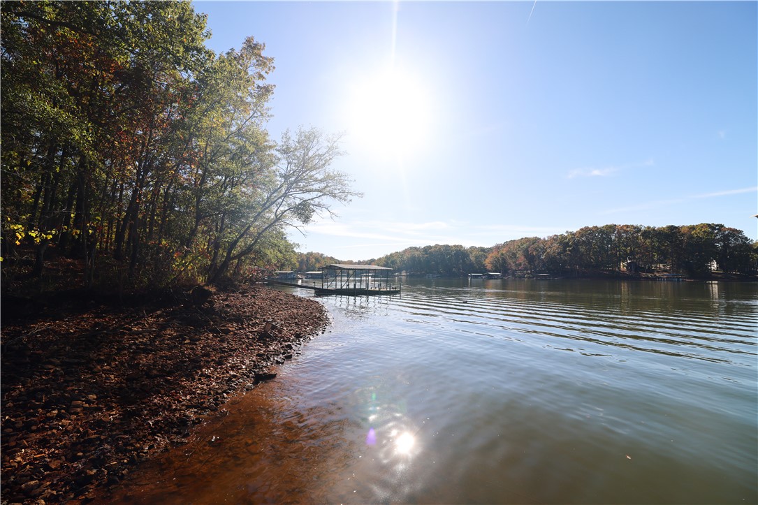 425 Lakewood Drive, Townville, South Carolina image 31