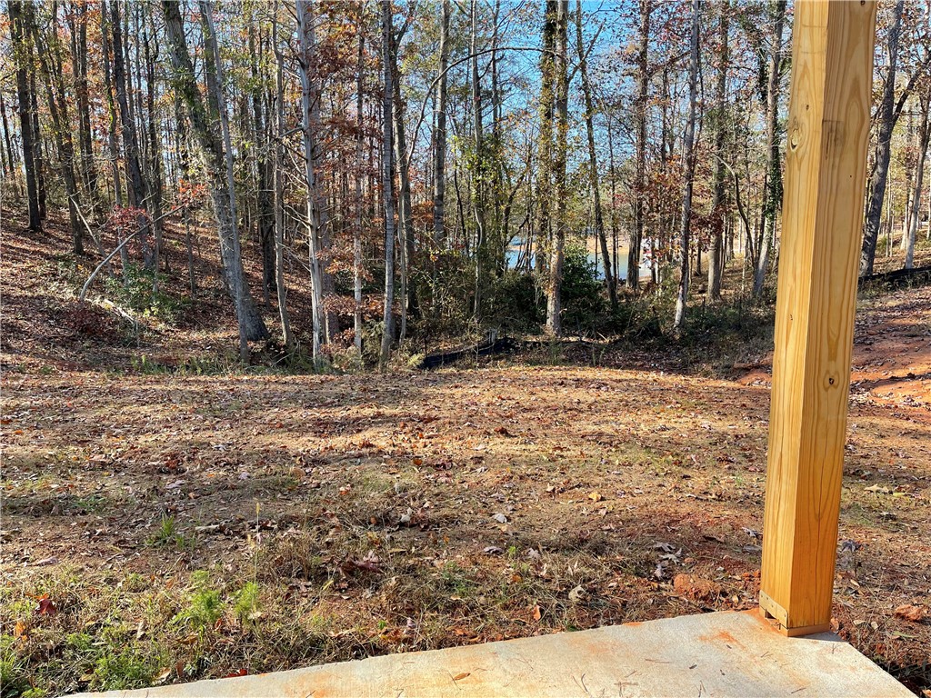 425 Lakewood Drive, Townville, South Carolina image 41