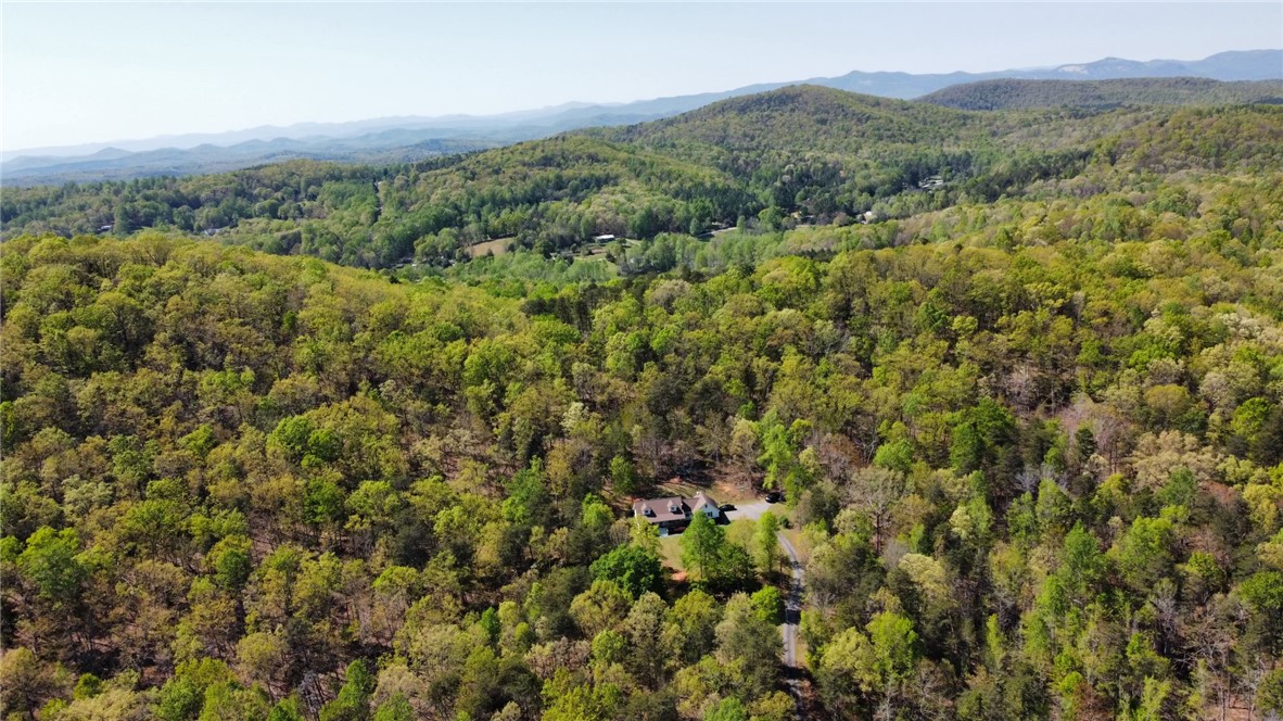 203 Wolf Creek Road, Easley, South Carolina image 37