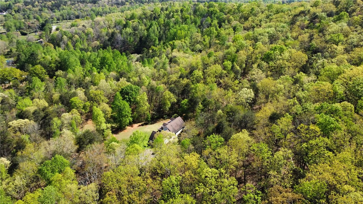 203 Wolf Creek Road, Easley, South Carolina image 41