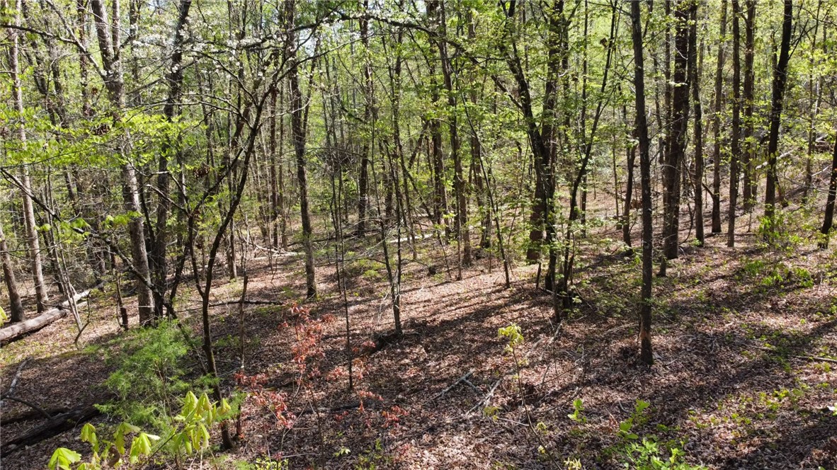 203 Wolf Creek Road, Easley, South Carolina image 38