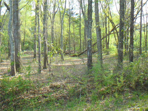 Vacant Land For Sale - 1019 Jones Drive<br/> Anderson, SC 29626