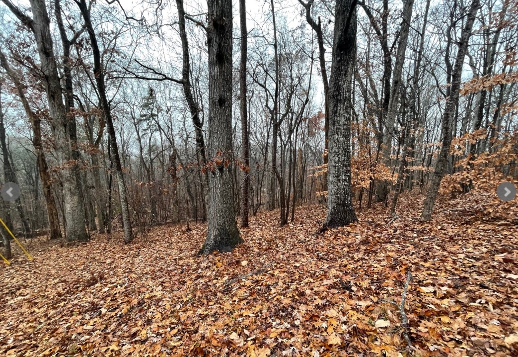 Lot 2134 S Arrowhead Drive, Westminster, South Carolina image 3