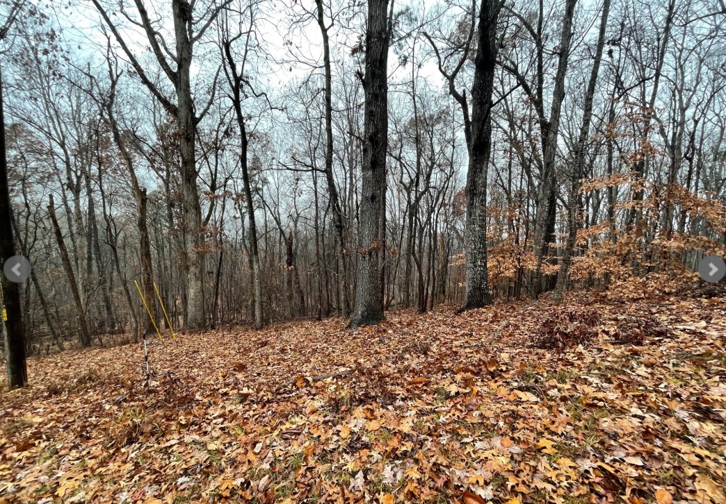 Lot 2134 S Arrowhead Drive, Westminster, South Carolina image 2