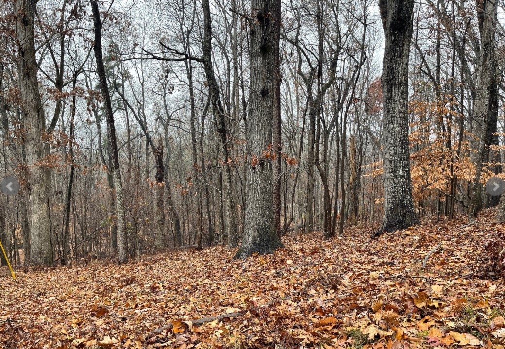 Lot 2134 S Arrowhead Drive, Westminster, South Carolina image 1