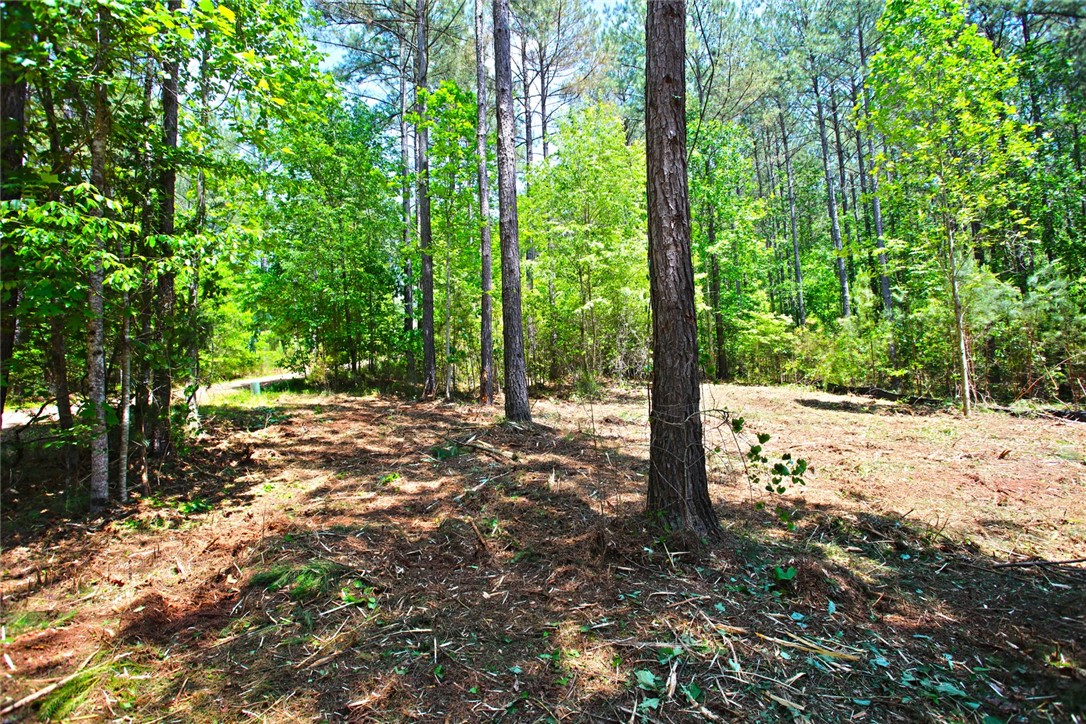 Lot 145 Peninsula Pointe South, West Union, South Carolina image 11