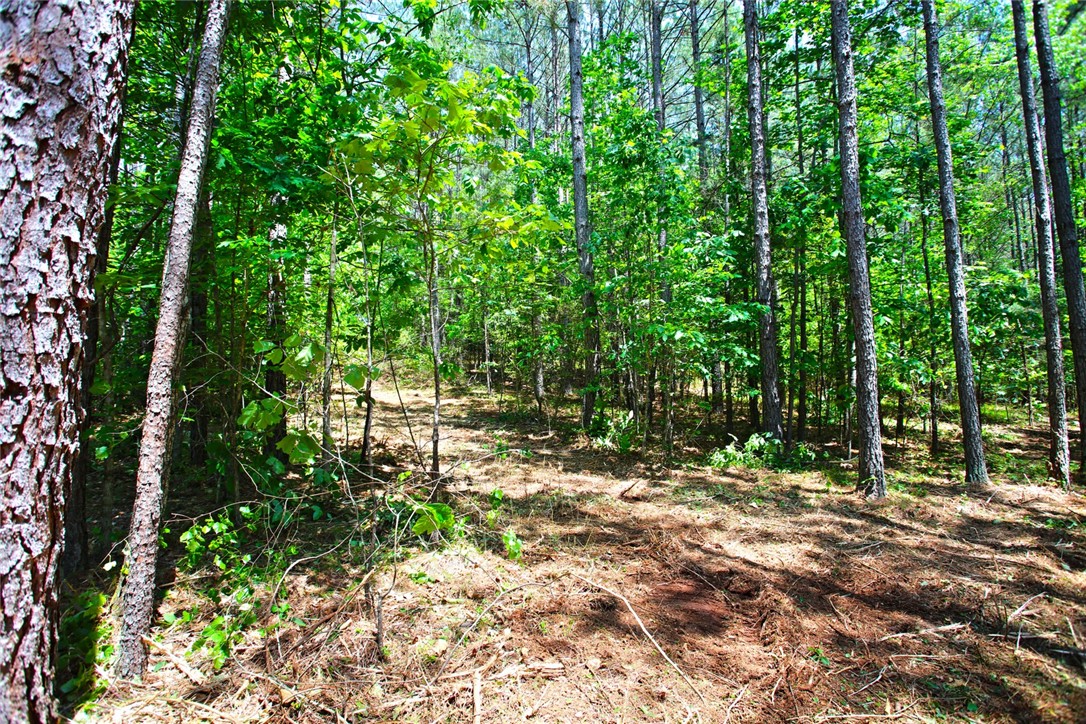 Lot 145 Peninsula Pointe South, West Union, South Carolina image 13