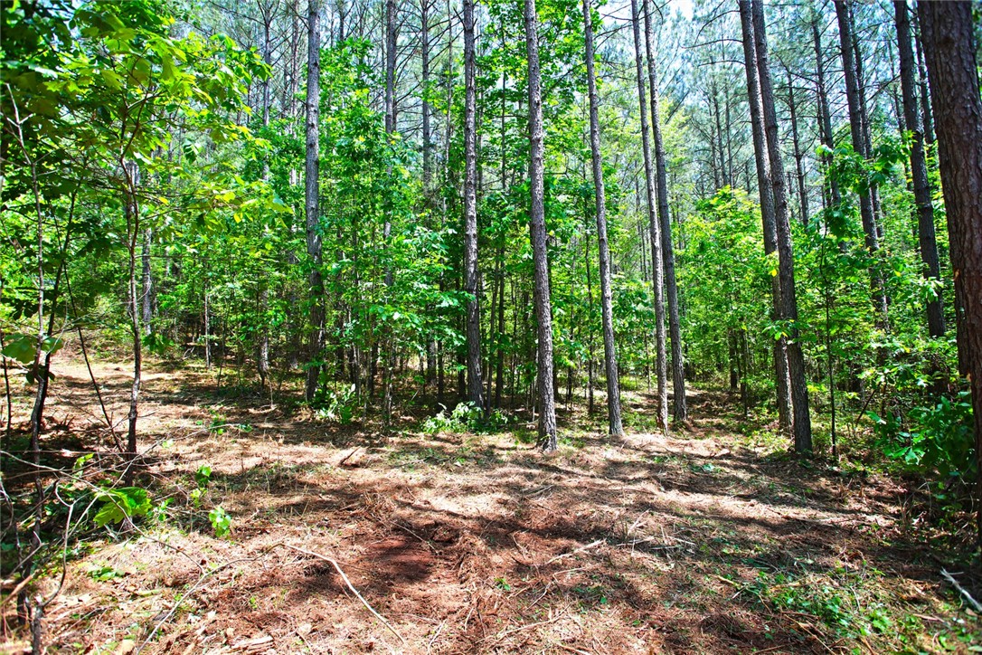 Lot 145 Peninsula Pointe South, West Union, South Carolina image 14