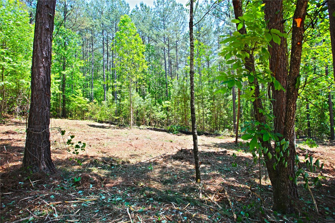 Lot 145 Peninsula Pointe South, West Union, South Carolina image 9