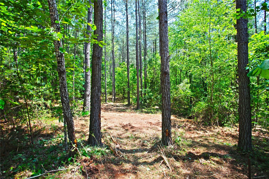 Lot 145 Peninsula Pointe South, West Union, South Carolina image 12