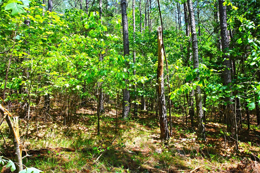 Lot 145 Peninsula Pointe South, West Union, South Carolina image 19