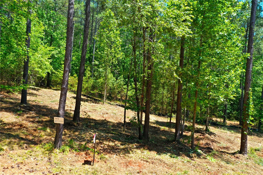 Lot 145 Peninsula Pointe South, West Union, South Carolina image 1