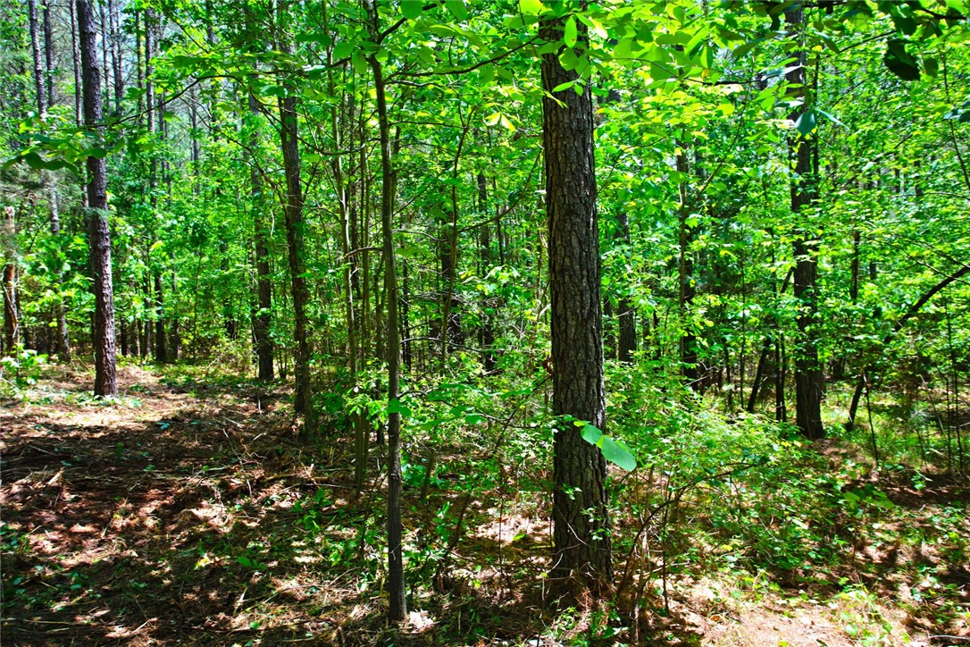 Lot 145 Peninsula Pointe South, West Union, South Carolina image 16