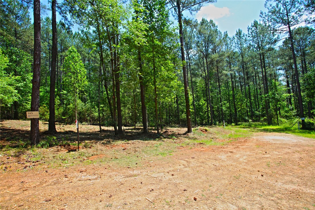 Lot 145 Peninsula Pointe South, West Union, South Carolina image 8