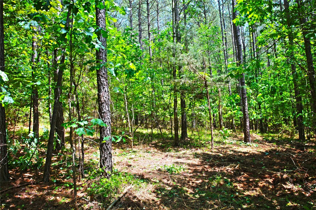 Lot 145 Peninsula Pointe South, West Union, South Carolina image 18