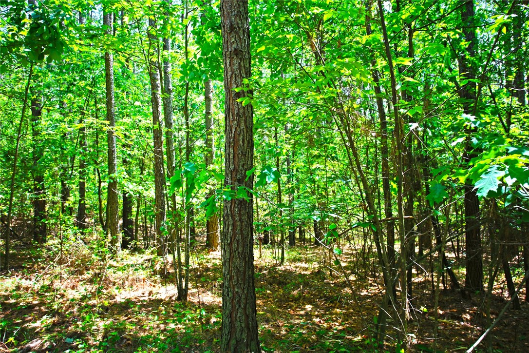 Lot 145 Peninsula Pointe South, West Union, South Carolina image 21