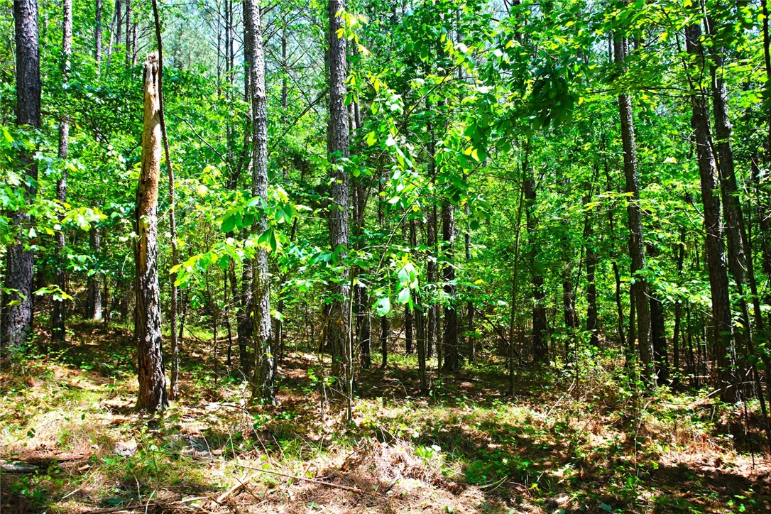 Lot 145 Peninsula Pointe South, West Union, South Carolina image 20