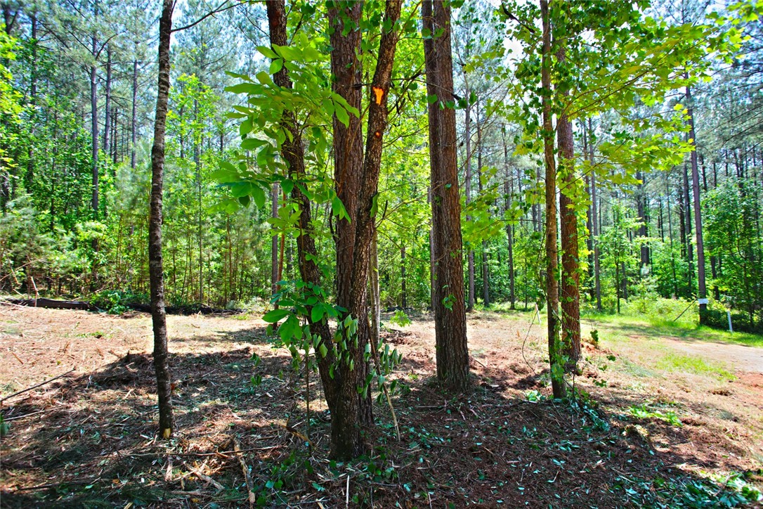 Lot 145 Peninsula Pointe South, West Union, South Carolina image 10