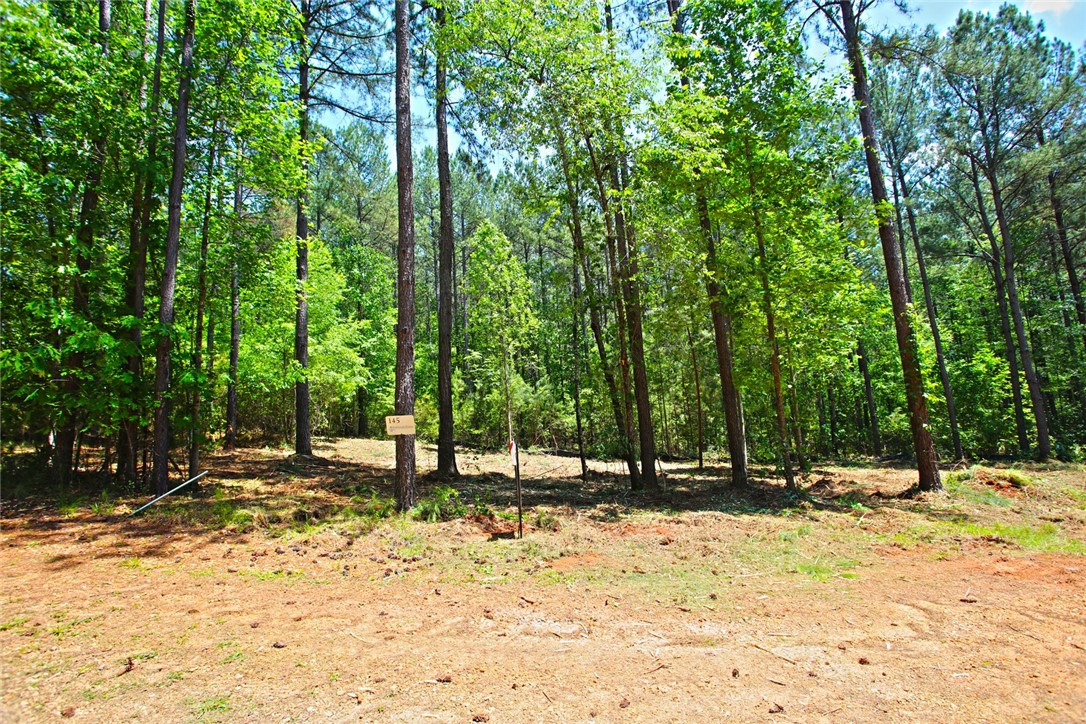 Lot 145 Peninsula Pointe South, West Union, South Carolina image 6