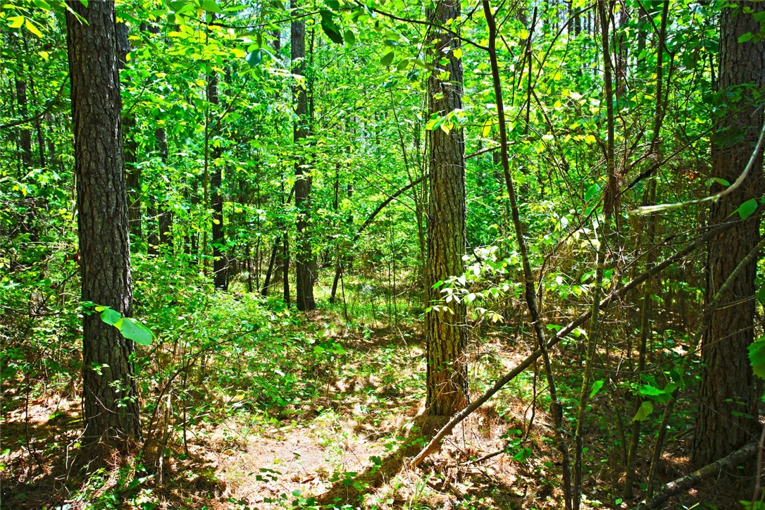 Lot 145 Peninsula Pointe South, West Union, South Carolina image 15