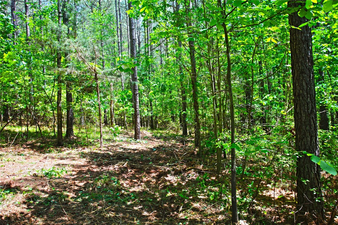 Lot 145 Peninsula Pointe South, West Union, South Carolina image 17