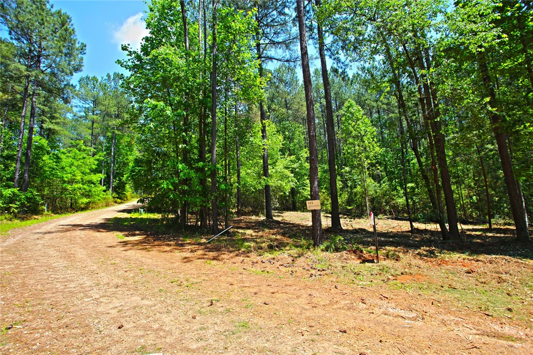 Lot 145 Peninsula Pointe South, West Union, South Carolina image 7