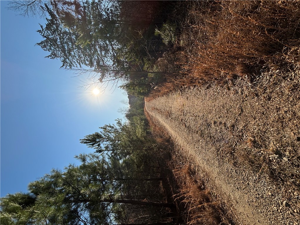 Lot 24 Riverbend Road, Fair Play, South Carolina image 4
