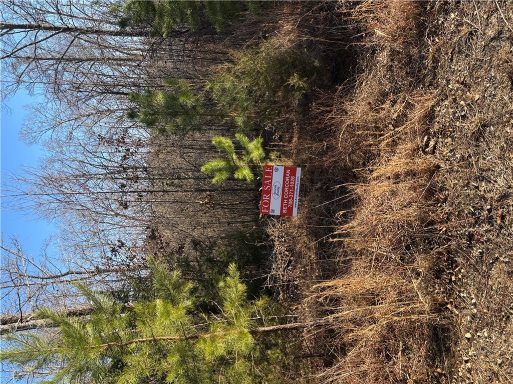 Lot 24 Riverbend Road, Fair Play, South Carolina image 1