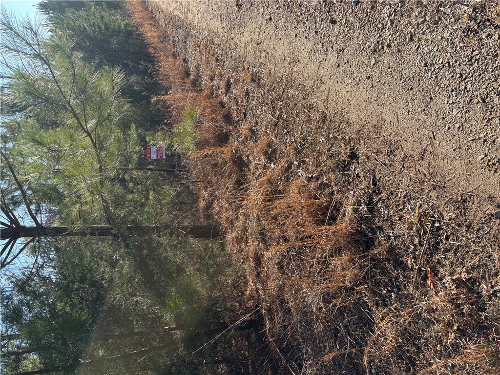 Lot 24 Riverbend Road, Fair Play, South Carolina image 3