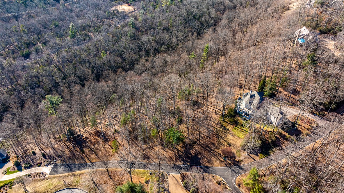 100 Park Green Way, Landrum, South Carolina image 3