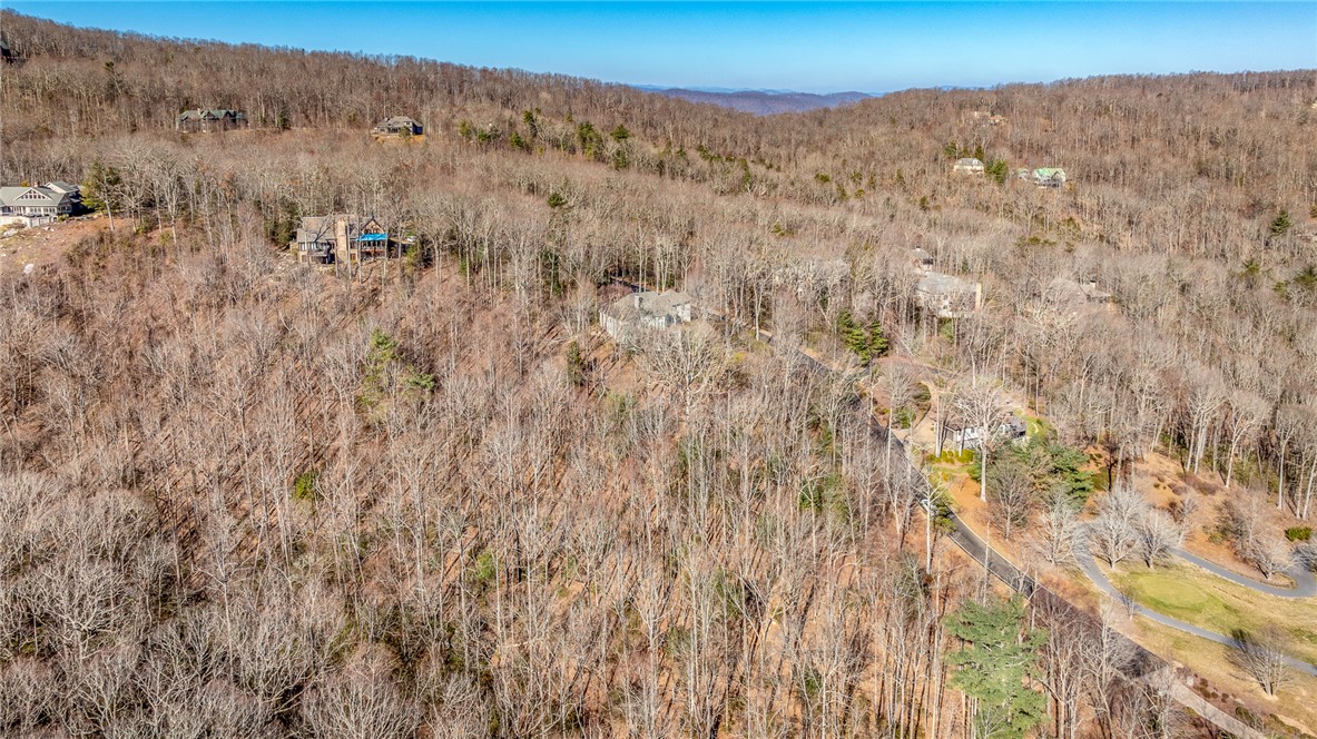 100 Park Green Way, Landrum, South Carolina image 13