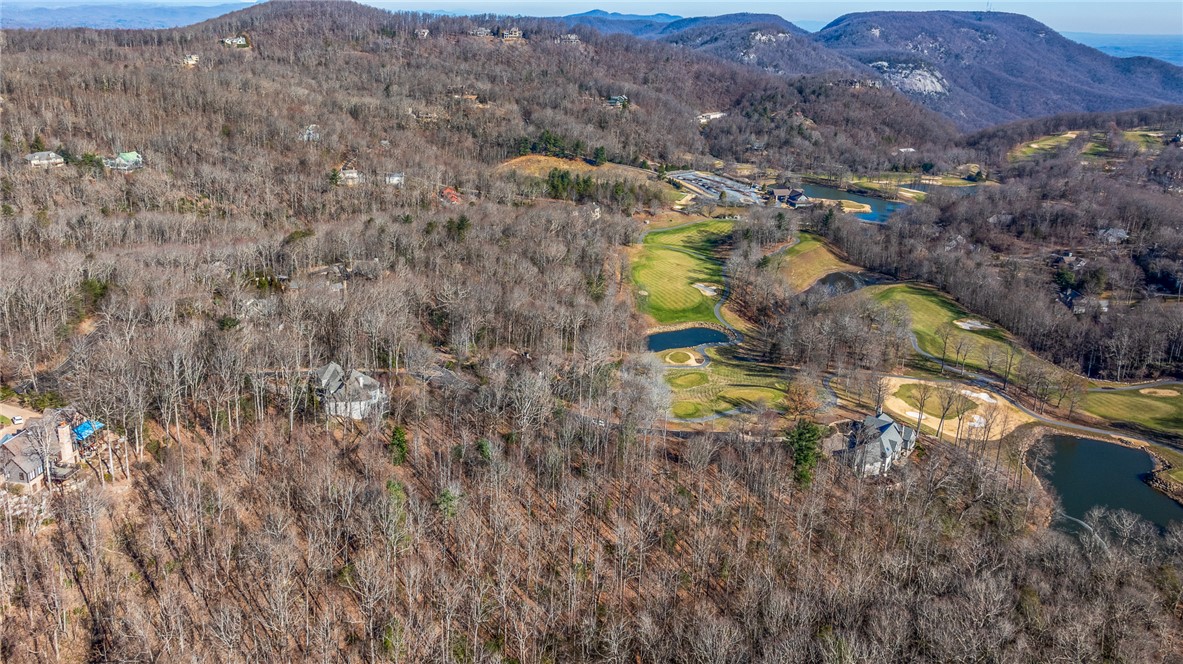 100 Park Green Way, Landrum, South Carolina image 7