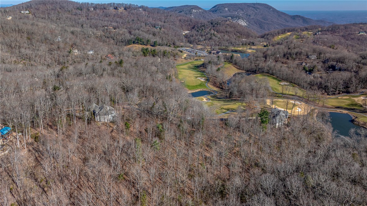 100 Park Green Way, Landrum, South Carolina image 5